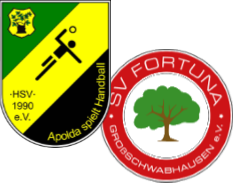 SG Apolda/Großschwabhausen